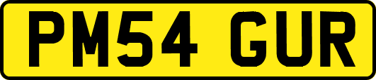 PM54GUR