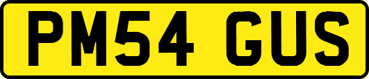 PM54GUS