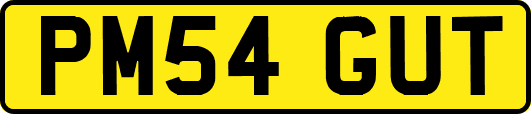 PM54GUT