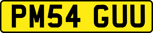 PM54GUU