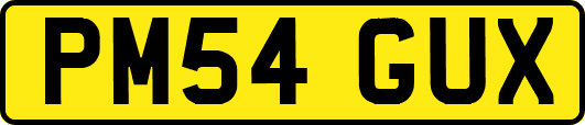 PM54GUX