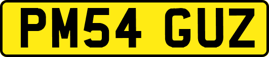 PM54GUZ