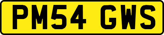 PM54GWS