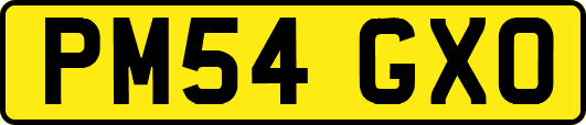 PM54GXO