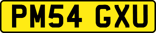 PM54GXU
