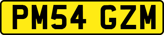 PM54GZM