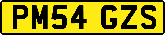 PM54GZS