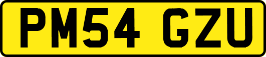 PM54GZU
