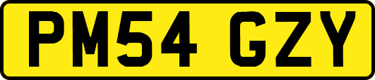 PM54GZY