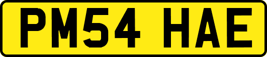 PM54HAE