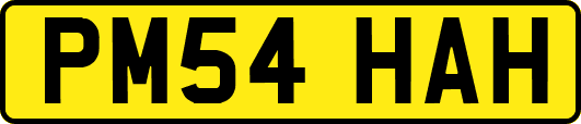PM54HAH
