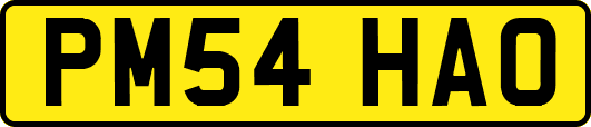 PM54HAO