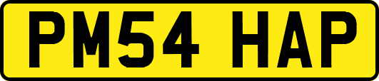 PM54HAP