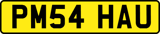 PM54HAU