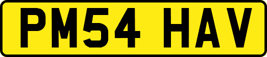 PM54HAV