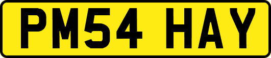 PM54HAY