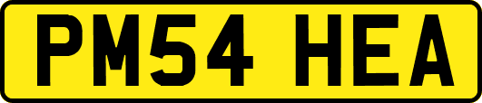 PM54HEA