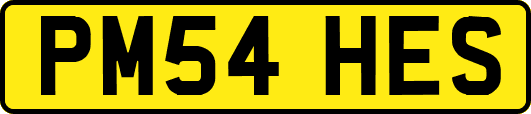 PM54HES