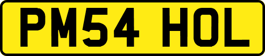 PM54HOL