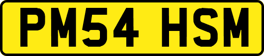 PM54HSM