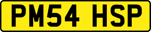 PM54HSP