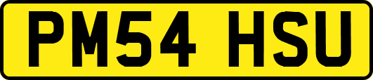 PM54HSU