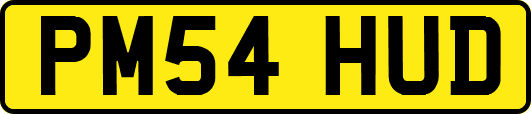 PM54HUD