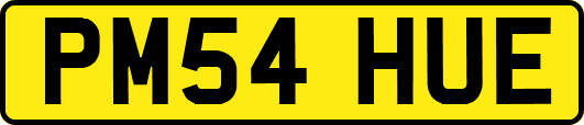 PM54HUE