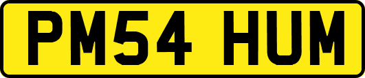 PM54HUM