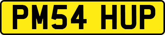 PM54HUP