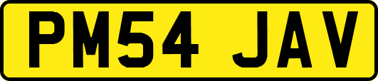 PM54JAV