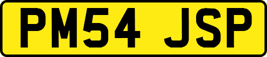 PM54JSP