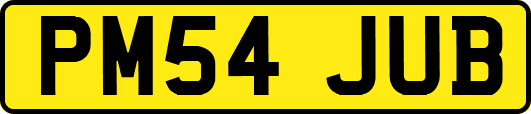 PM54JUB