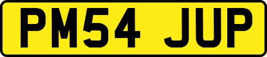 PM54JUP
