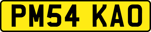 PM54KAO