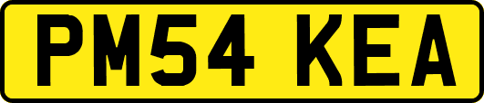 PM54KEA