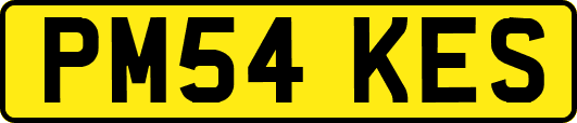 PM54KES