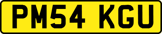PM54KGU