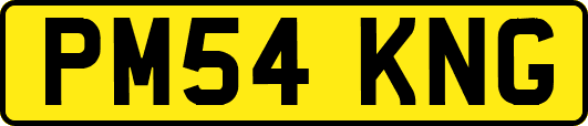 PM54KNG