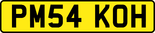 PM54KOH