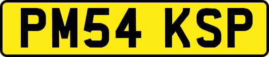 PM54KSP