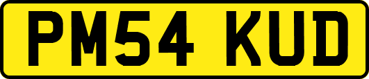 PM54KUD