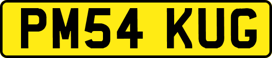 PM54KUG