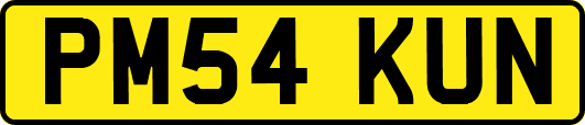 PM54KUN