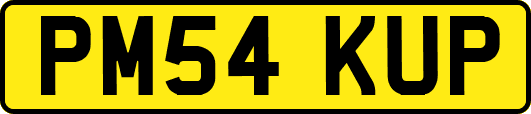 PM54KUP