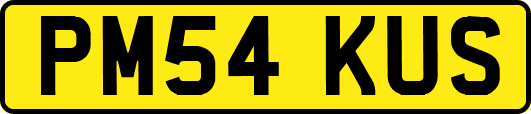 PM54KUS