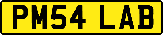 PM54LAB