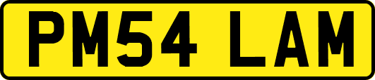 PM54LAM