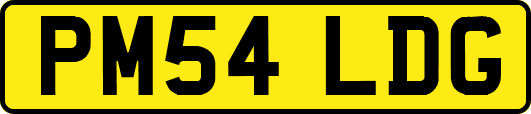 PM54LDG