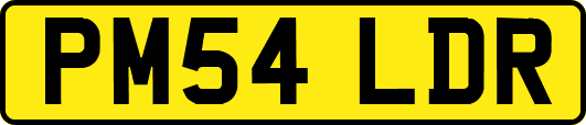 PM54LDR